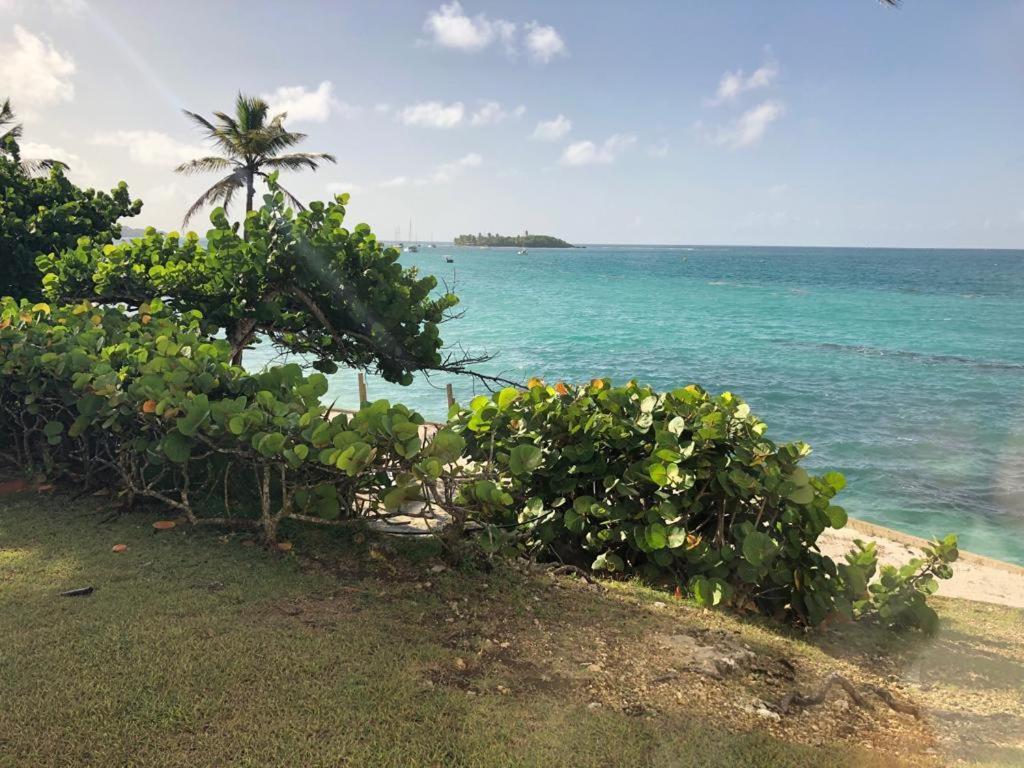 Beau Studio Lumineux Vue Mer Acces Plage Et Piscine ル・ゴジエ エクステリア 写真